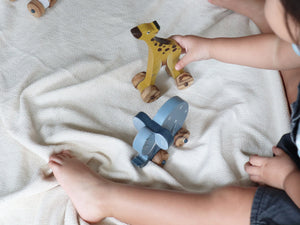Wooden Animal Push Toys