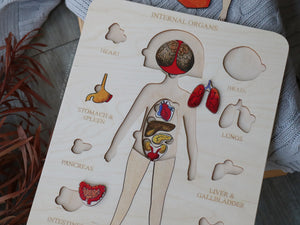 Human Anatomy - Organs Puzzle