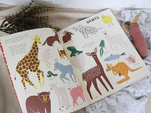 The New Baby: An Activity Book for Soon-to-be Big Brothers and Sisters by Lie Dirkx